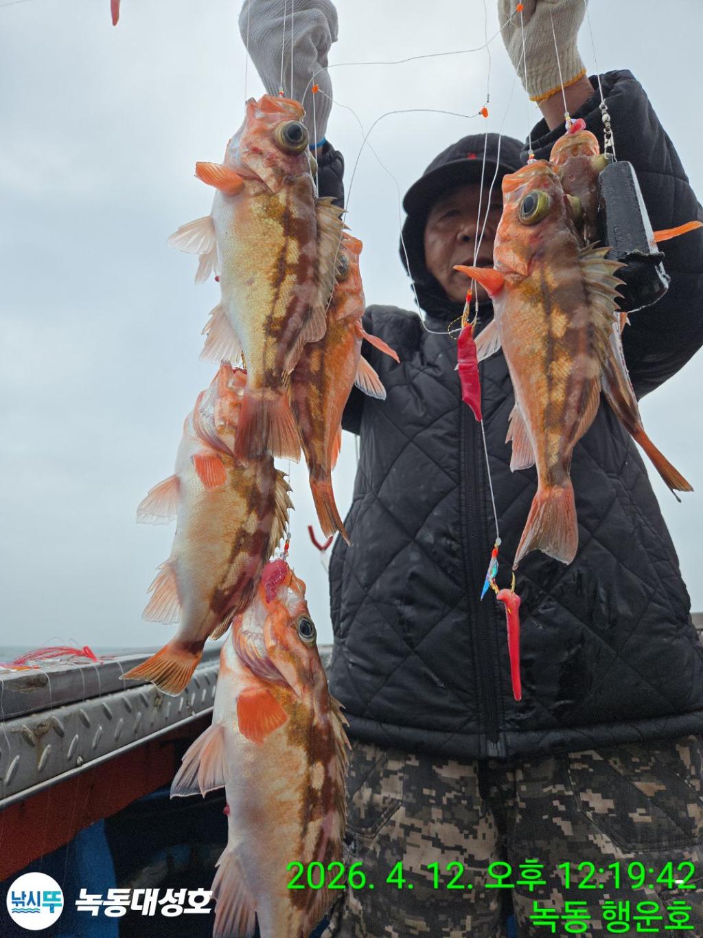 낚시뚜,열기,우럭,녹동항,녹동대성호,낚시뚜6