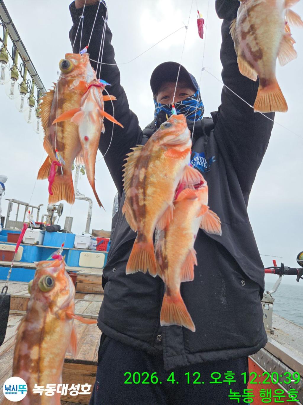 낚시뚜,열기,우럭,녹동항,녹동대성호,낚시뚜5