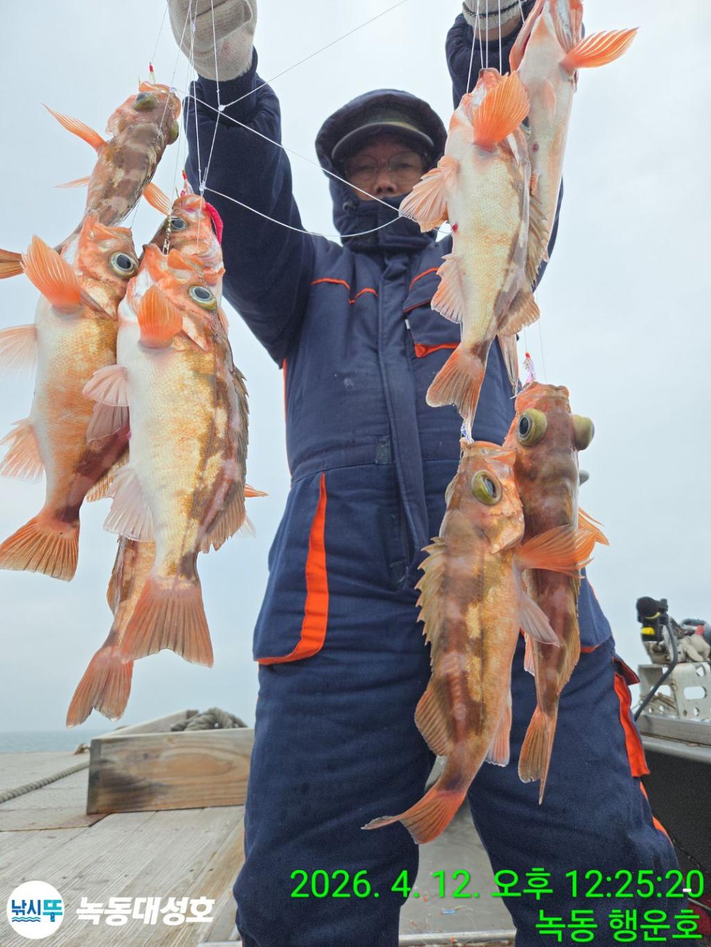 낚시뚜,열기,우럭,녹동항,녹동대성호,낚시뚜3