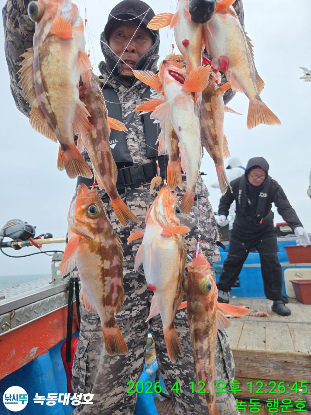 낚시뚜,열기,우럭,녹동항,녹동대성호,낚시뚜2