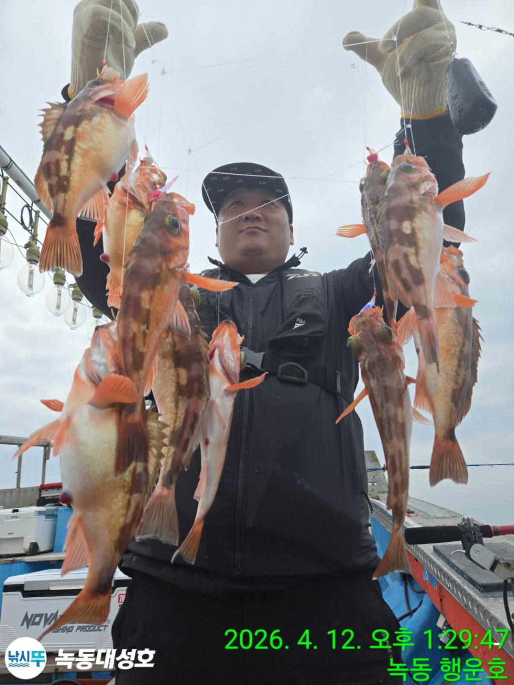 낚시뚜,열기,우럭,녹동항,녹동대성호,낚시뚜1