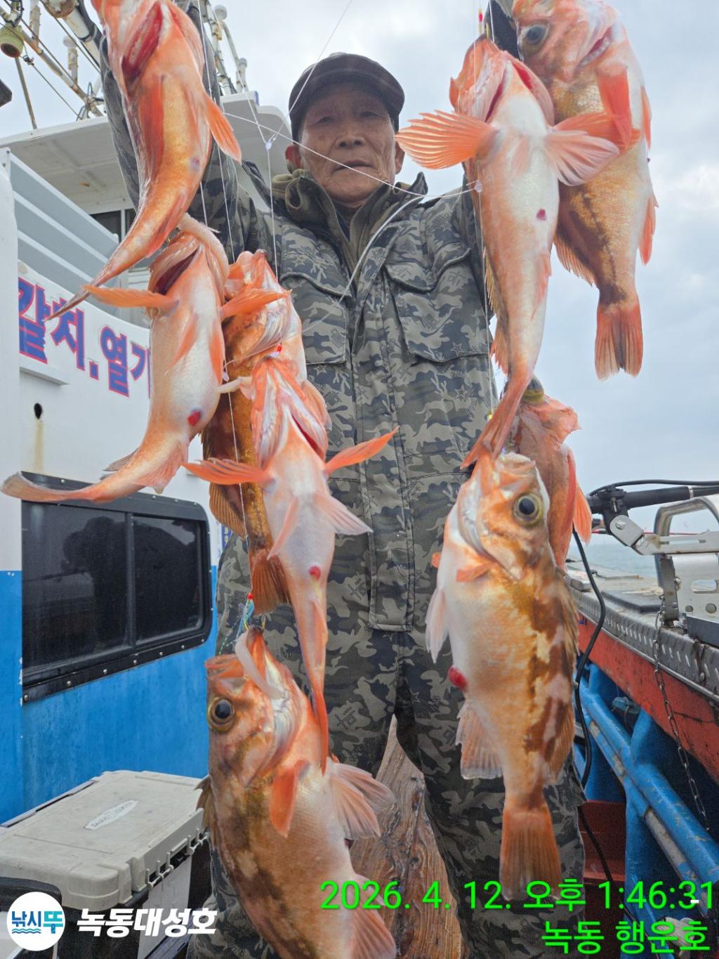 낚시뚜,열기,우럭,녹동항,녹동대성호,낚시뚜0