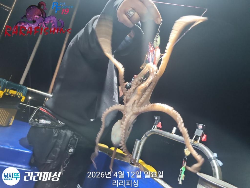 낚시뚜,낙지,돌문어,속천항(진해),라라피싱,낚시뚜11