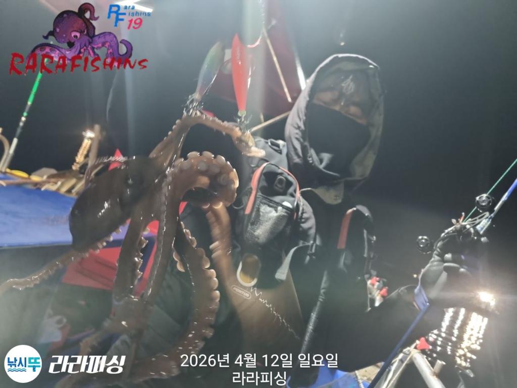 낚시뚜,낙지,돌문어,속천항(진해),라라피싱,낚시뚜7