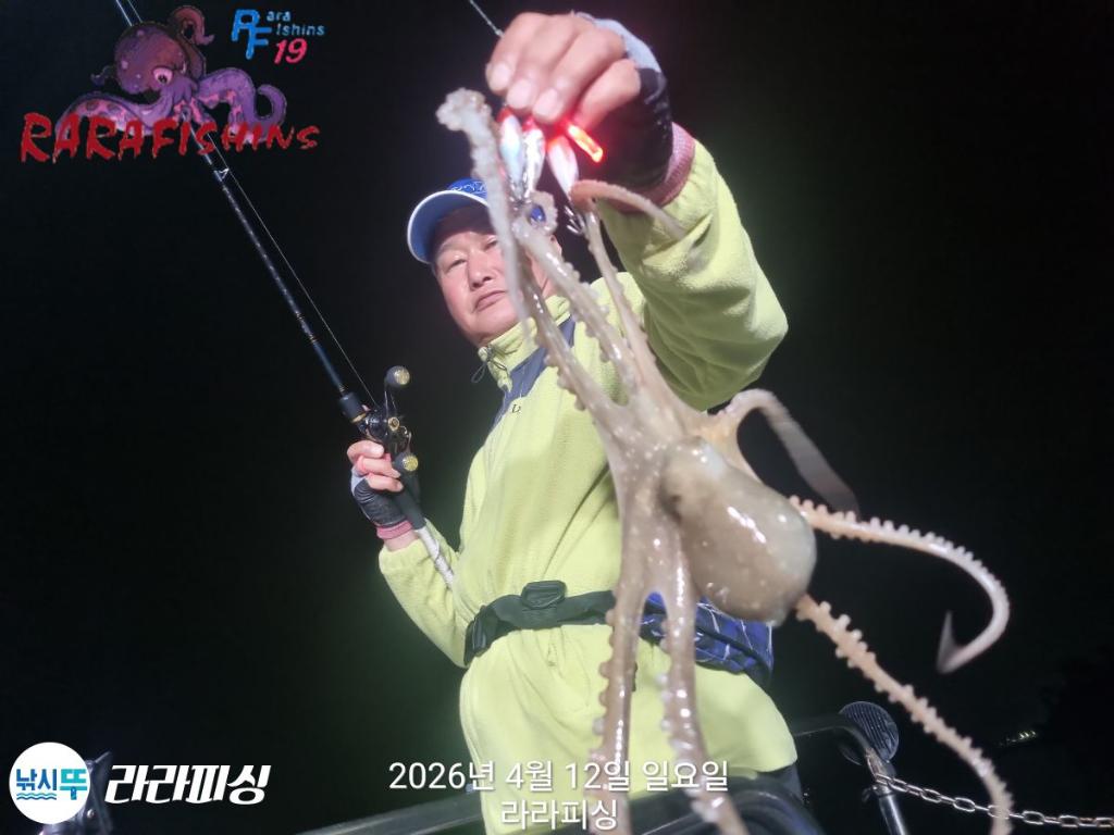 낚시뚜,낙지,돌문어,속천항(진해),라라피싱,낚시뚜3