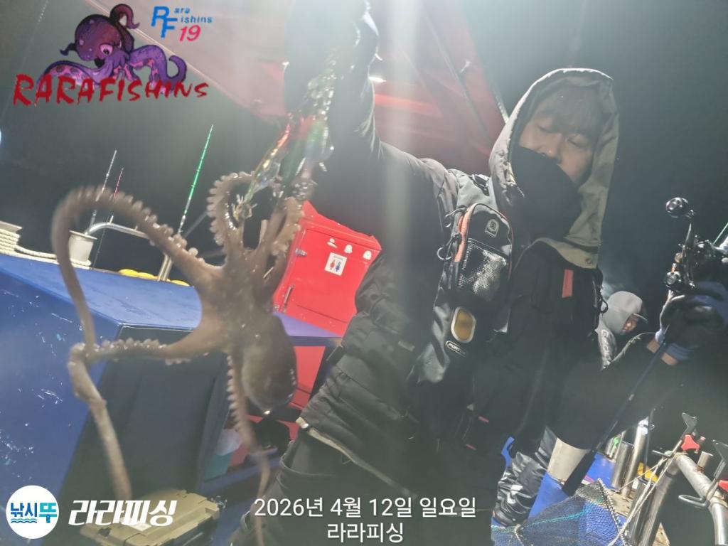 낚시뚜,낙지,돌문어,속천항(진해),라라피싱,낚시뚜1