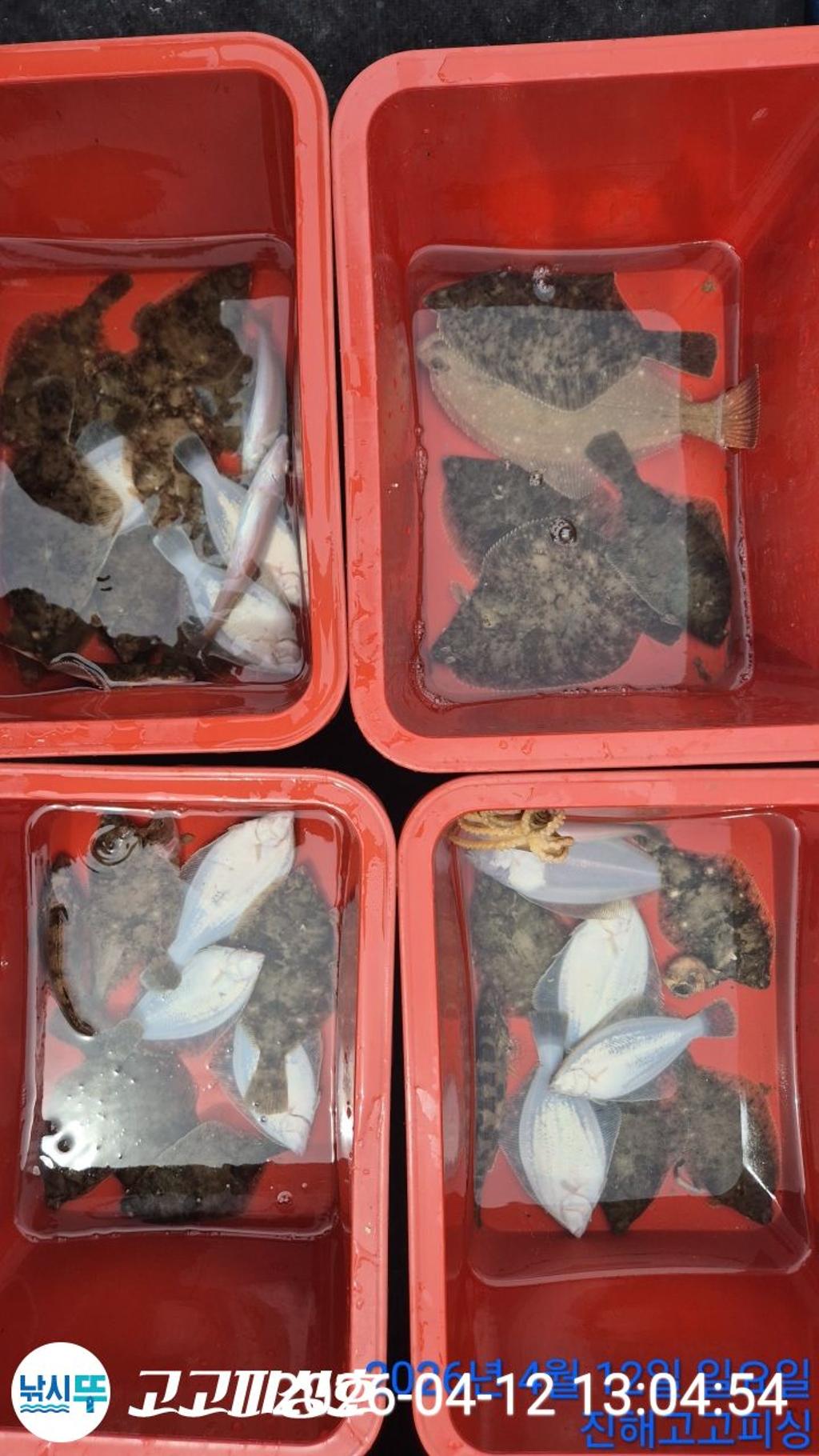 낚시뚜,,속천항(진해),고고피싱호,낚시뚜8