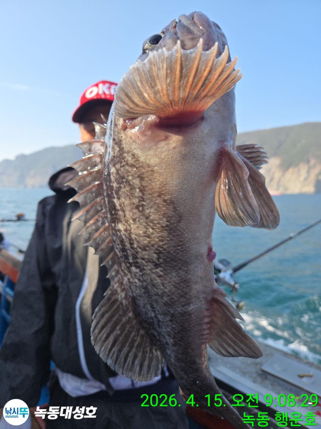 낚시뚜,열기,우럭,녹동항,녹동대성호,낚시뚜34