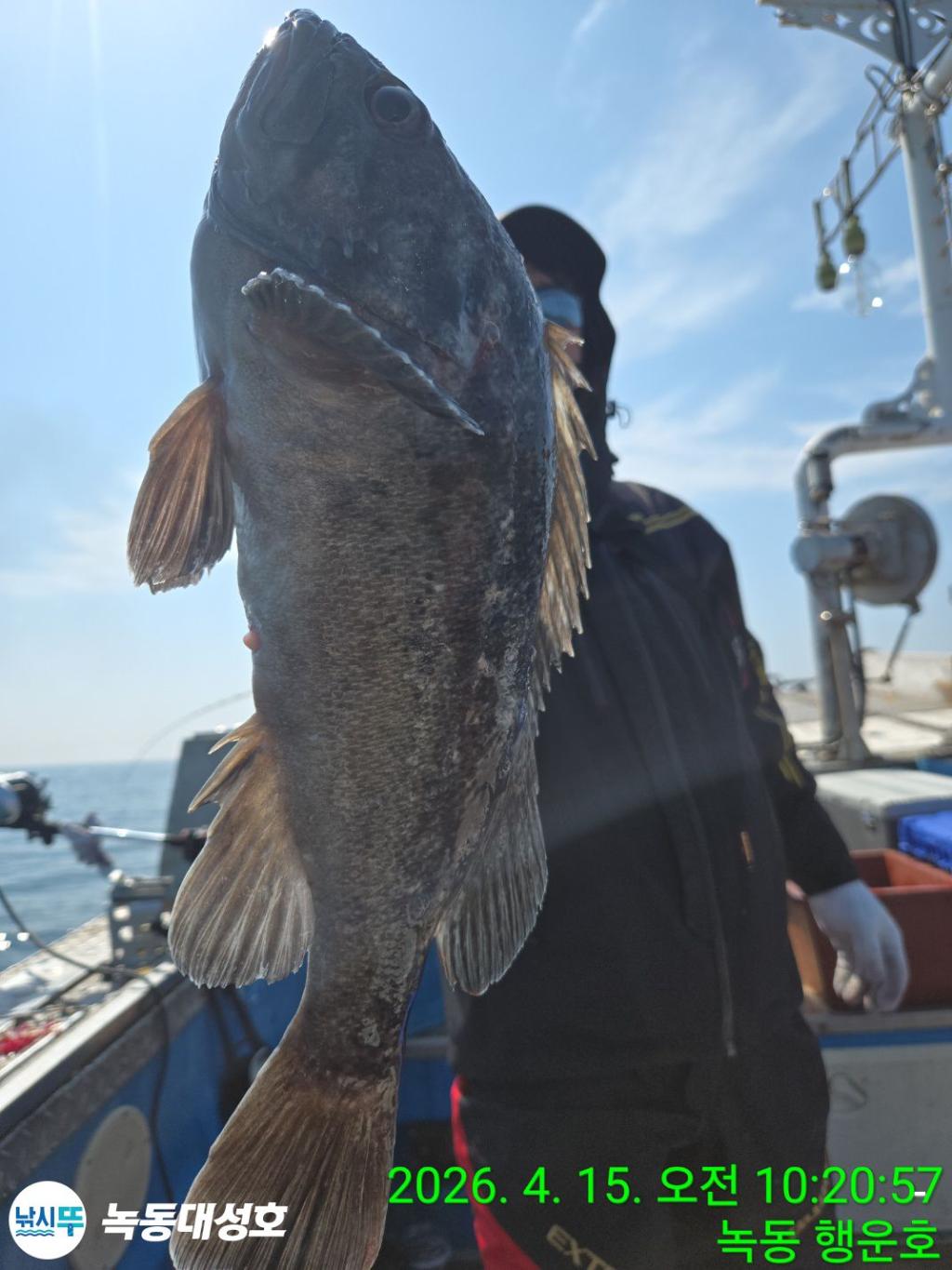 낚시뚜,열기,우럭,녹동항,녹동대성호,낚시뚜33