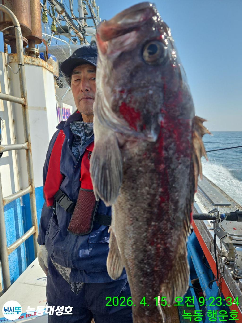 낚시뚜,열기,우럭,녹동항,녹동대성호,낚시뚜32