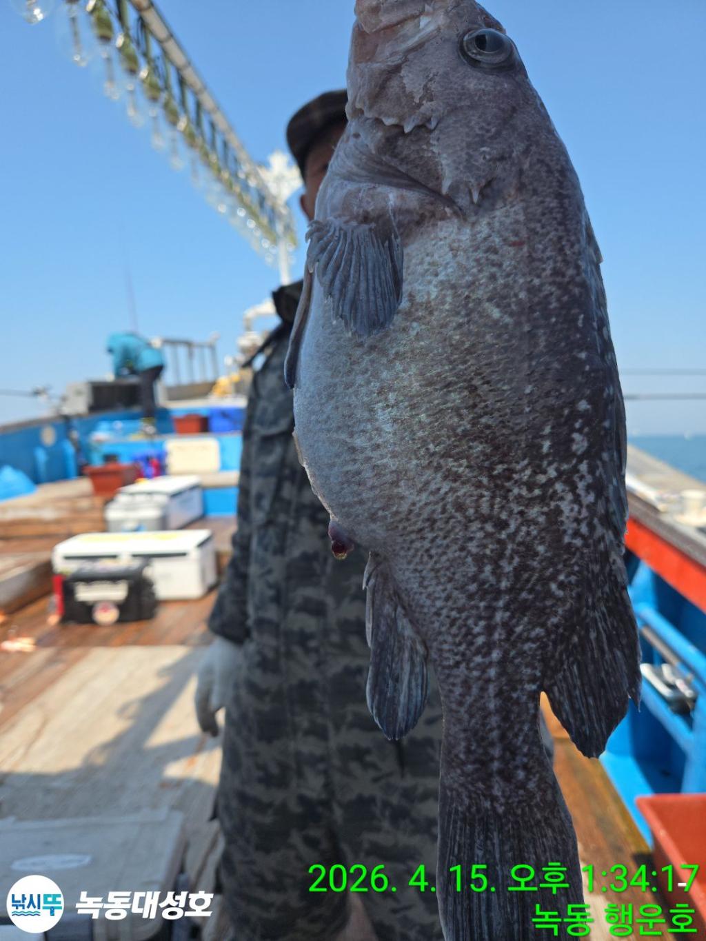 낚시뚜,열기,우럭,녹동항,녹동대성호,낚시뚜31