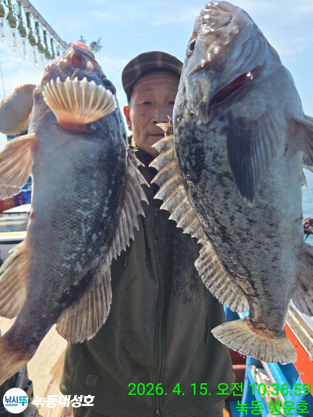 낚시뚜,열기,우럭,녹동항,녹동대성호,낚시뚜29