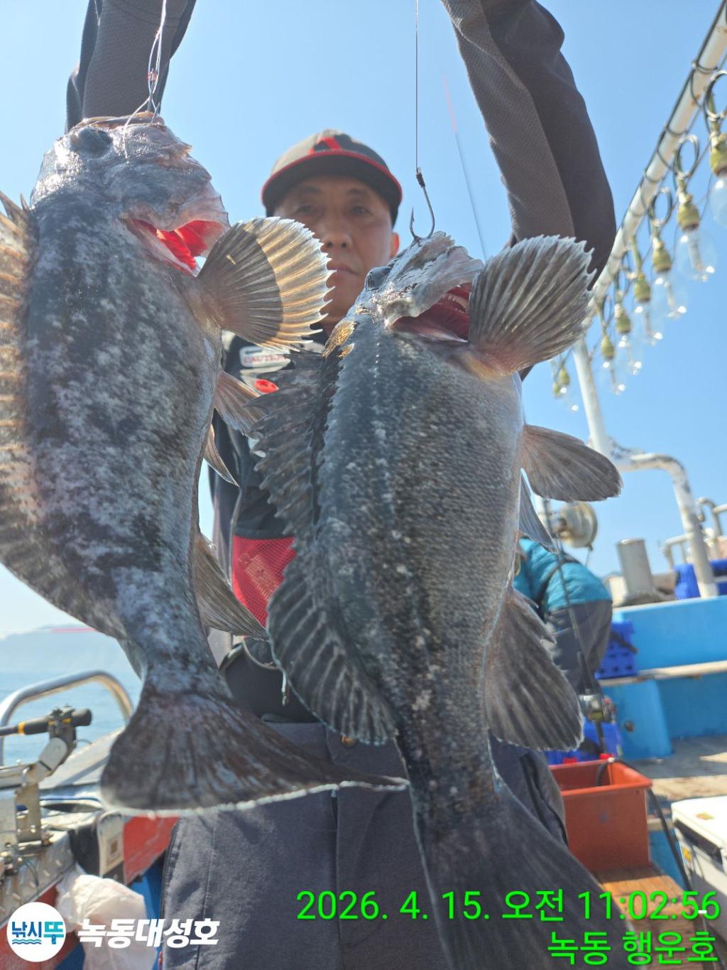 낚시뚜,열기,우럭,녹동항,녹동대성호,낚시뚜28