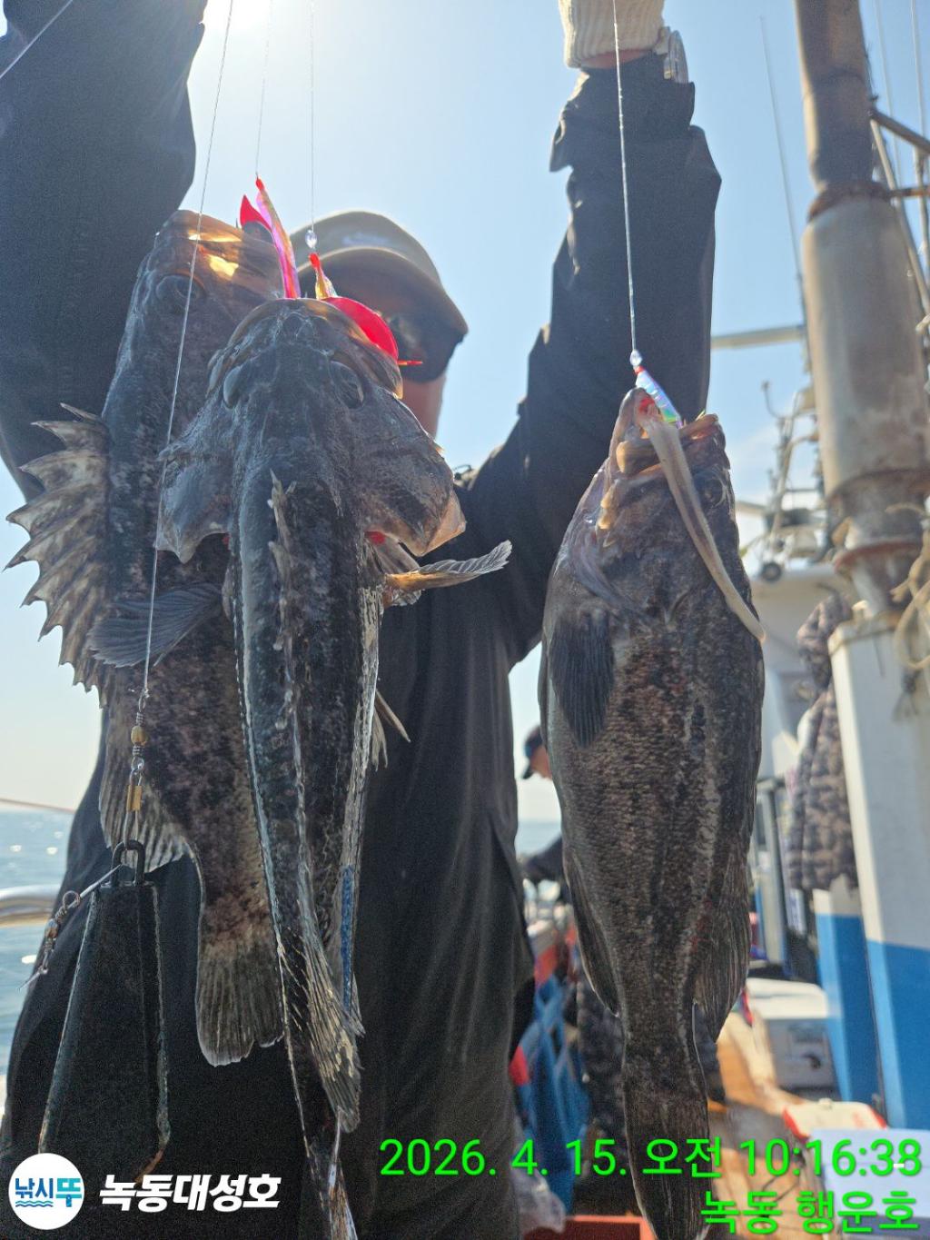 낚시뚜,열기,우럭,녹동항,녹동대성호,낚시뚜27