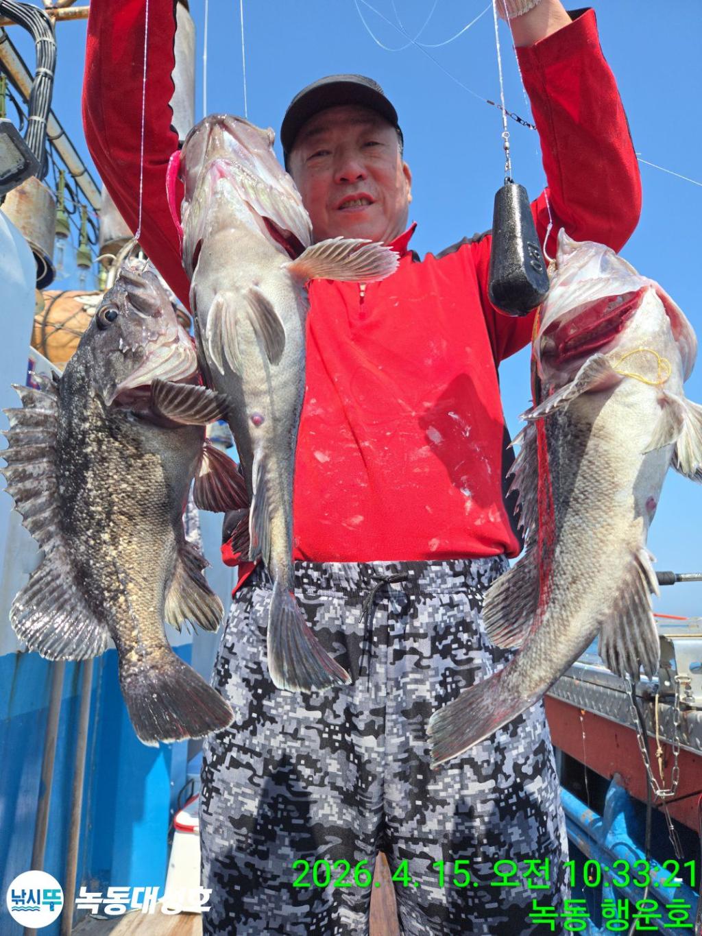 낚시뚜,열기,우럭,녹동항,녹동대성호,낚시뚜23