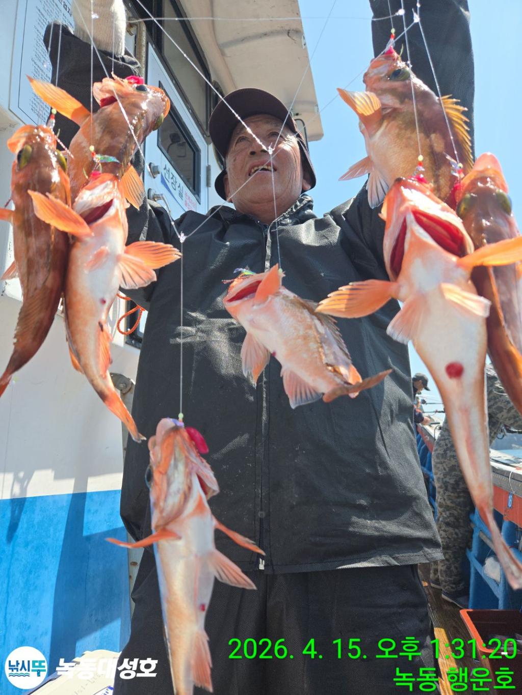 낚시뚜,열기,우럭,녹동항,녹동대성호,낚시뚜21