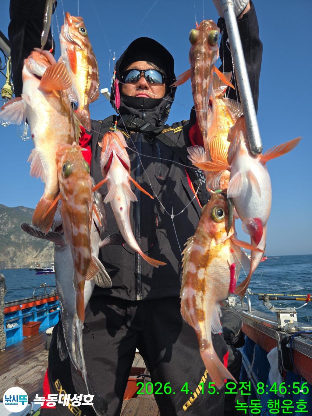 낚시뚜,열기,우럭,녹동항,녹동대성호,낚시뚜20