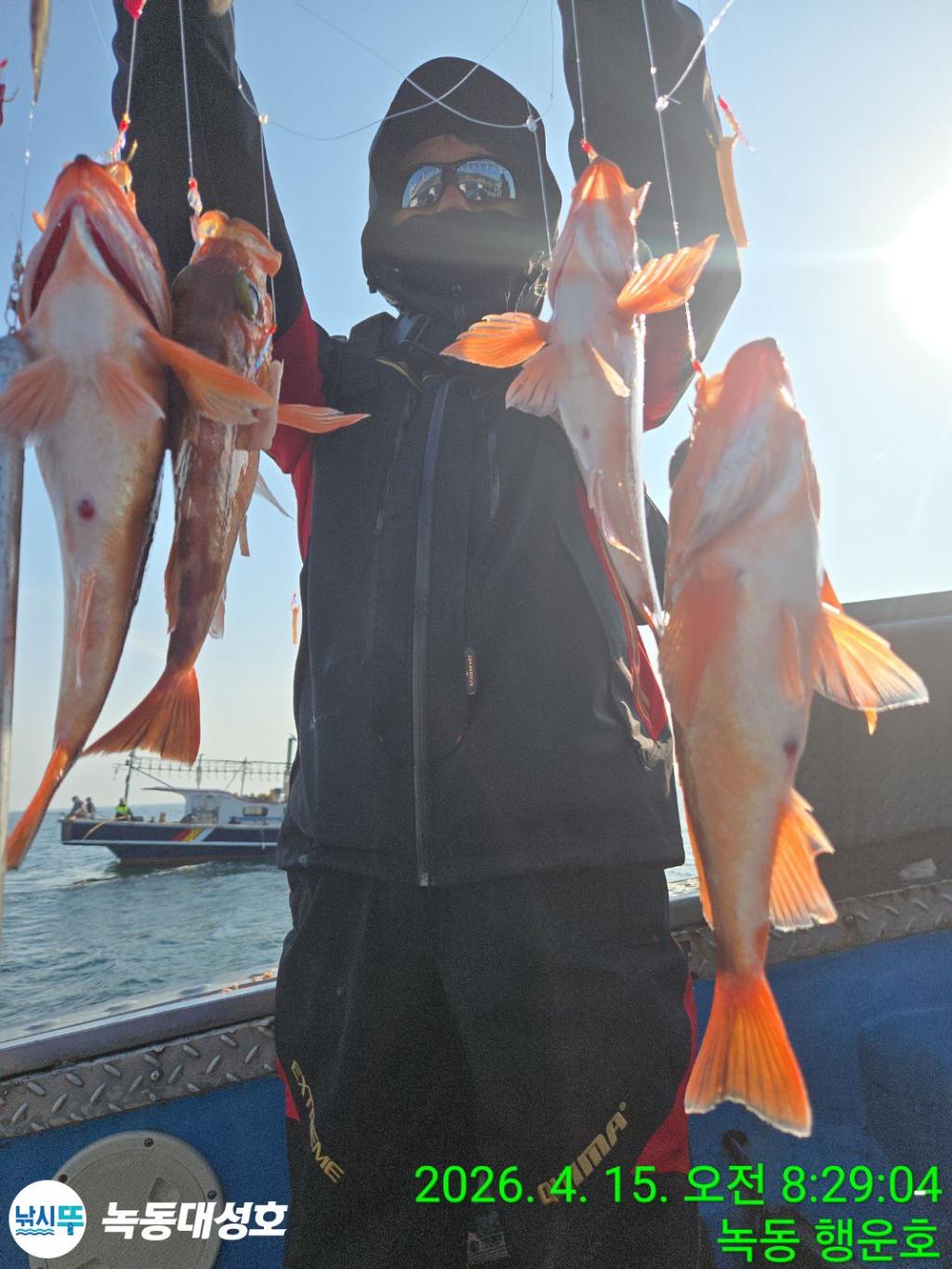 낚시뚜,열기,우럭,녹동항,녹동대성호,낚시뚜17