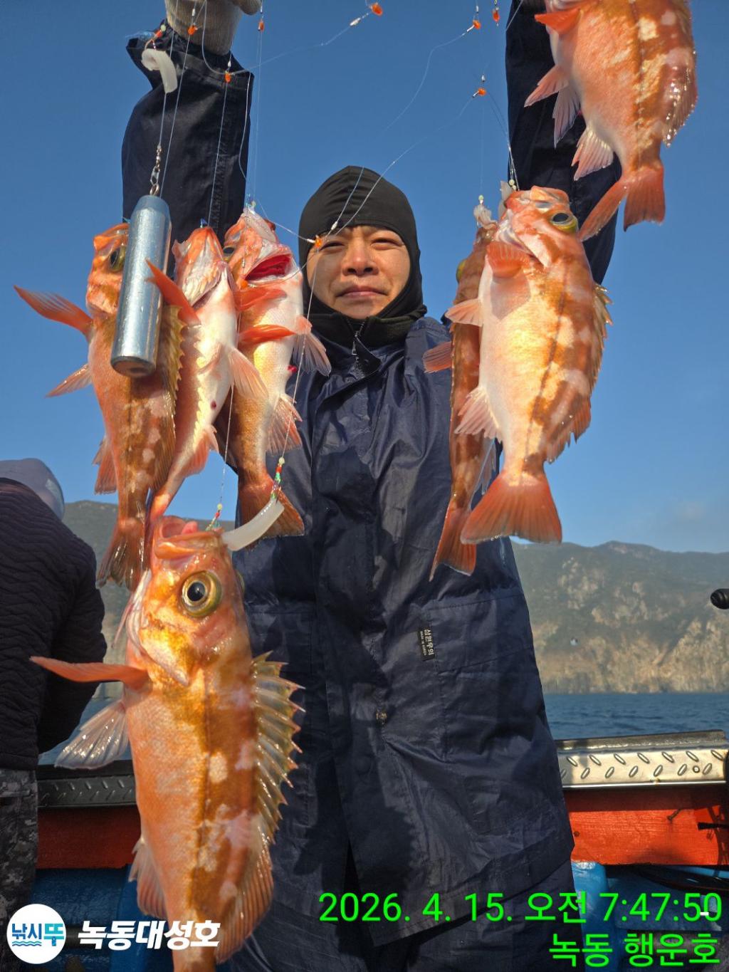 낚시뚜,열기,우럭,녹동항,녹동대성호,낚시뚜16