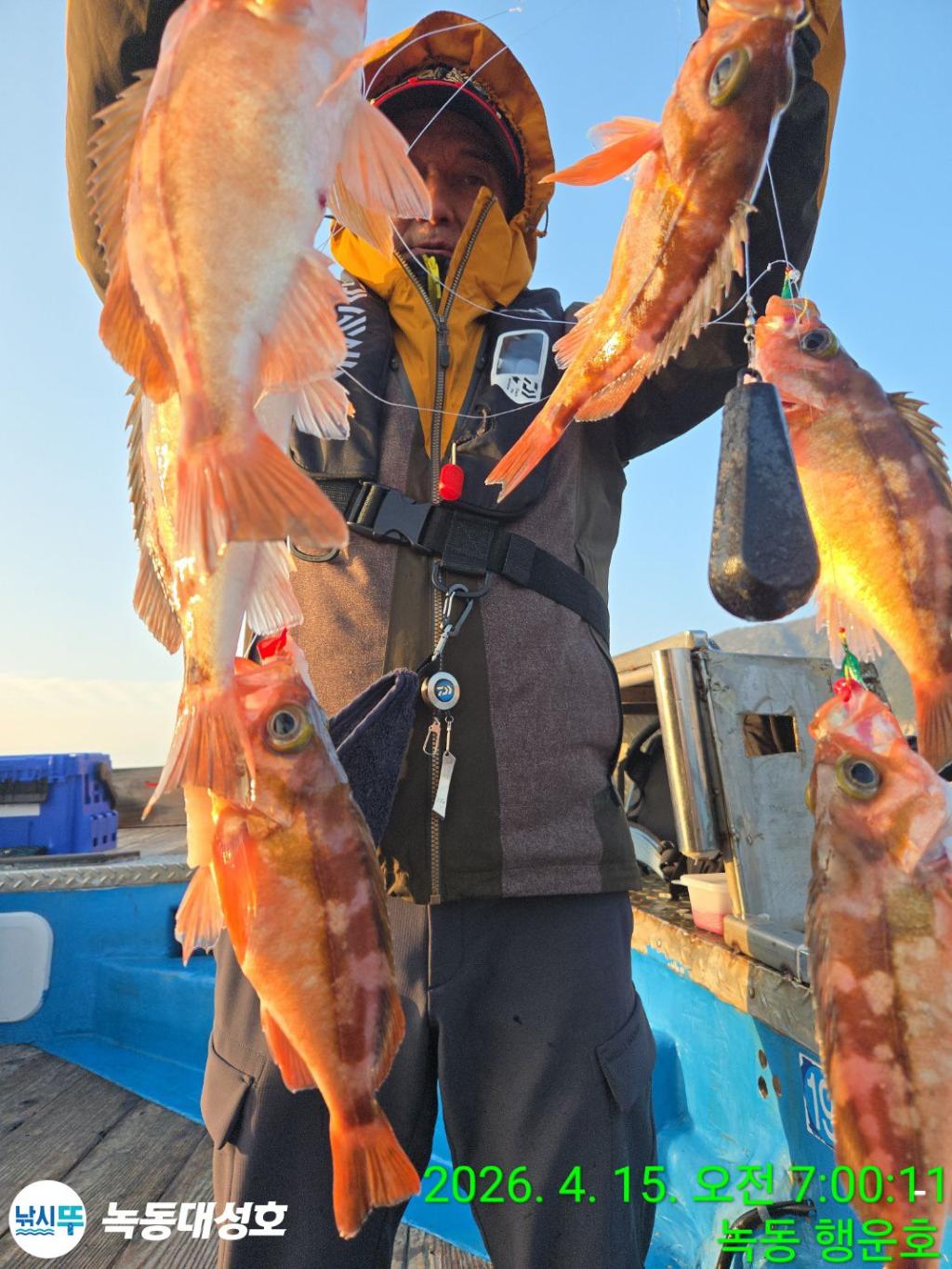 낚시뚜,열기,우럭,녹동항,녹동대성호,낚시뚜11