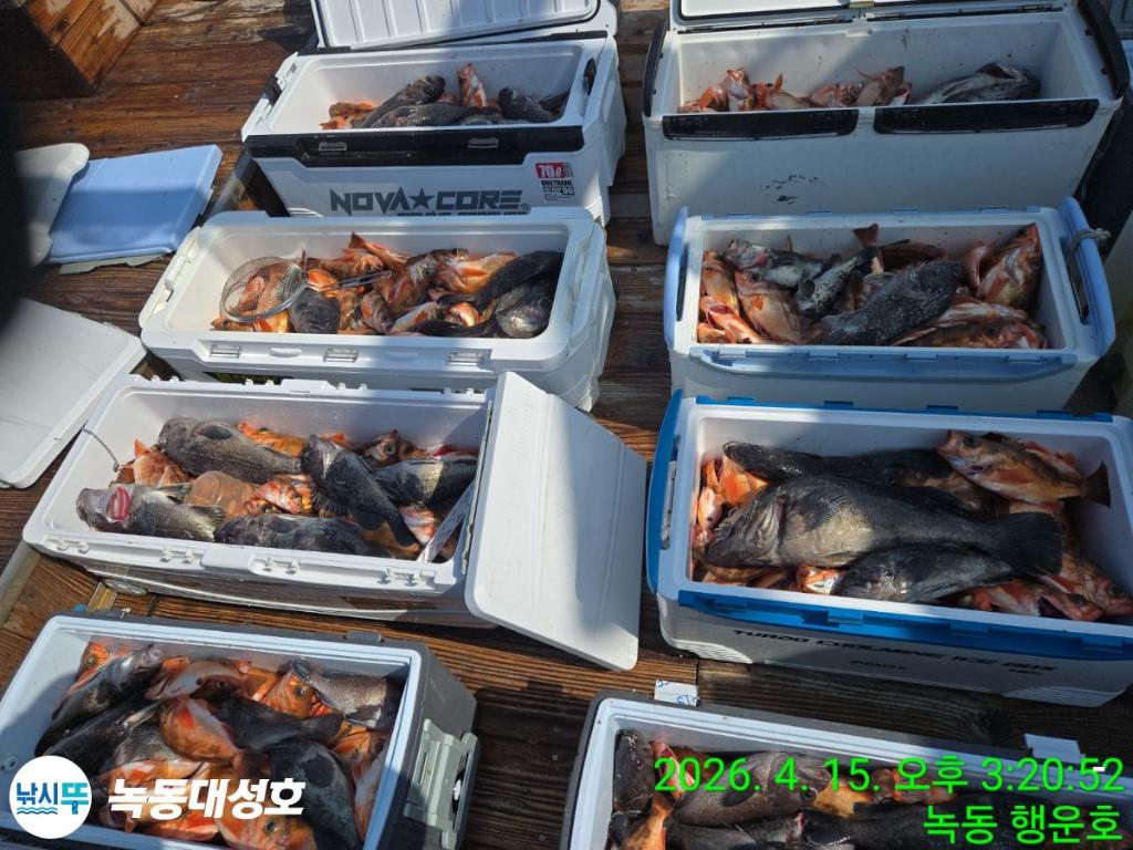 낚시뚜,열기,우럭,녹동항,녹동대성호,낚시뚜5