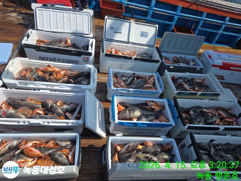 낚시뚜,열기,우럭,녹동항,녹동대성호,낚시뚜3