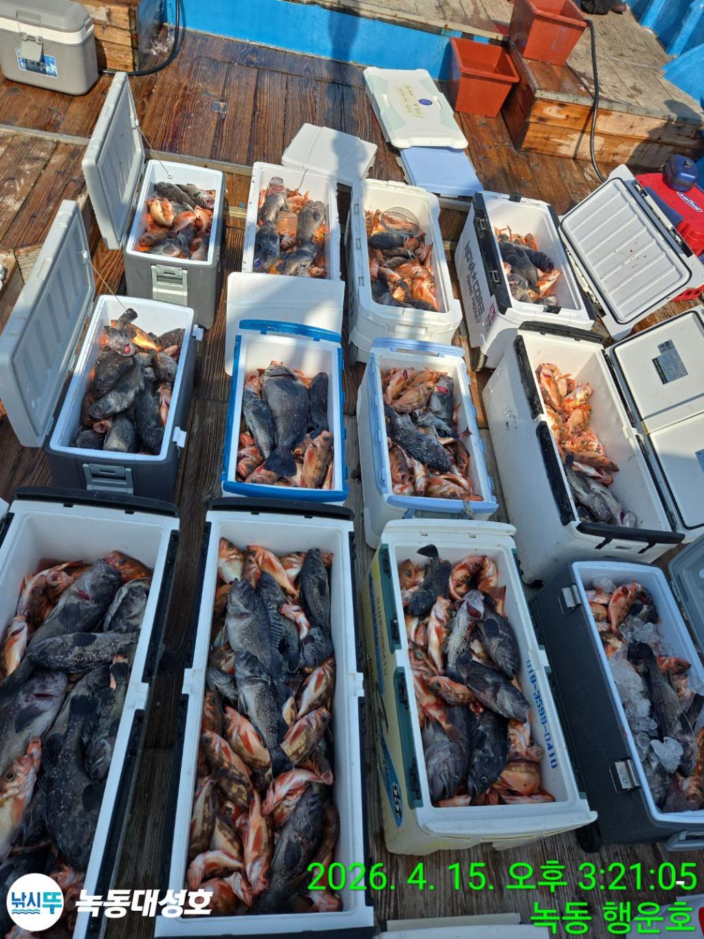 낚시뚜,열기,우럭,녹동항,녹동대성호,낚시뚜1