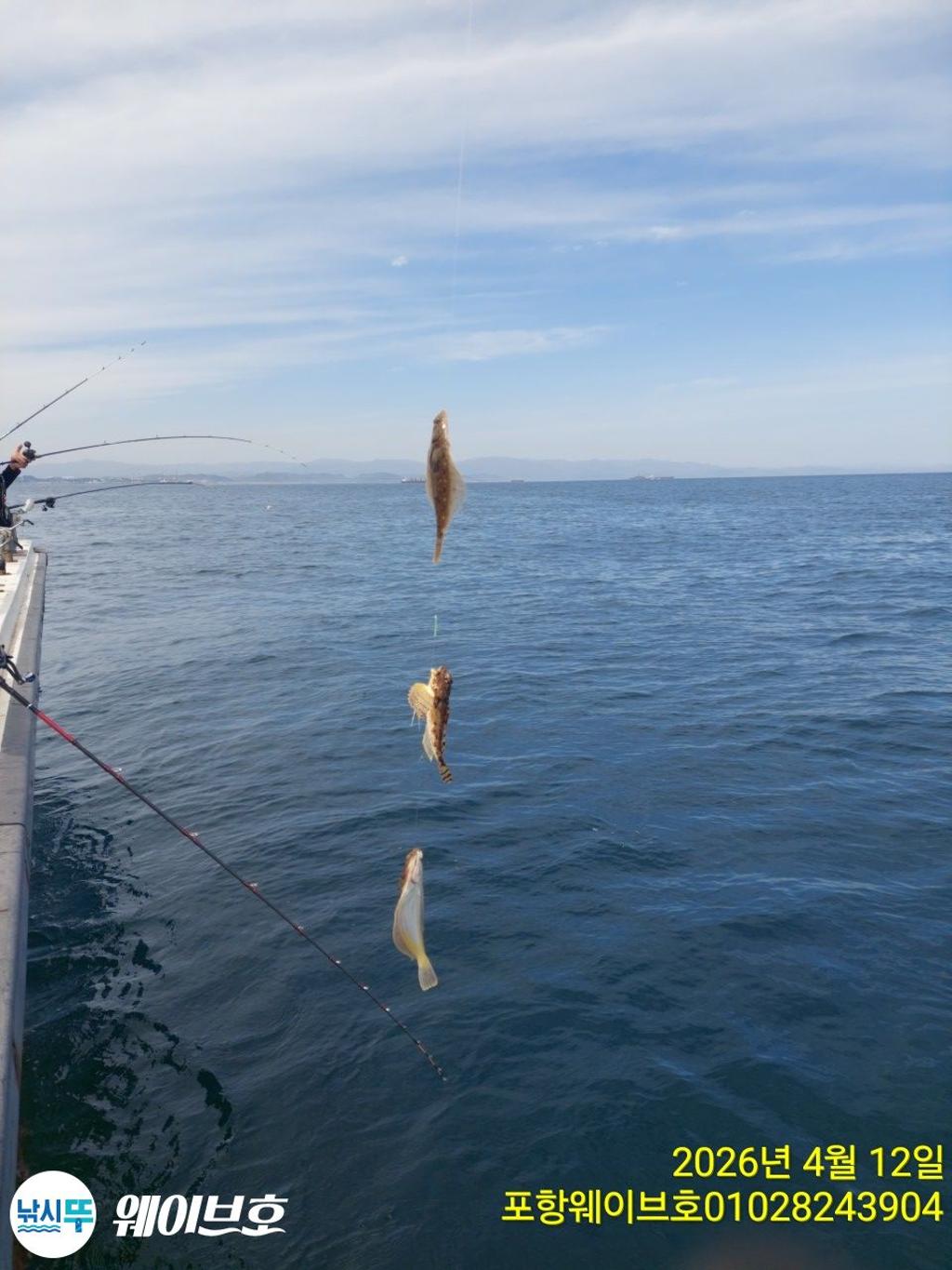 낚시뚜,도다리,가자미,구룡포항,뉴웨이브호,낚시뚜7