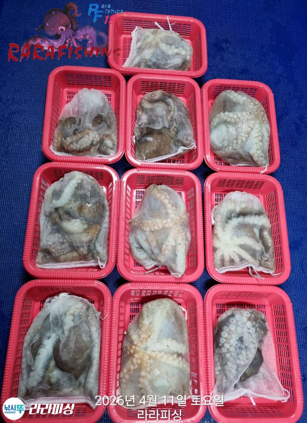 낚시뚜,문어,속천항(진해),라라피싱,낚시뚜20