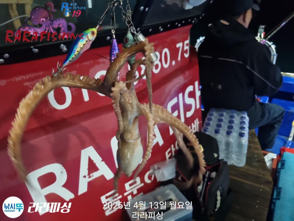 낚시뚜,문어,속천항(진해),라라피싱,낚시뚜1