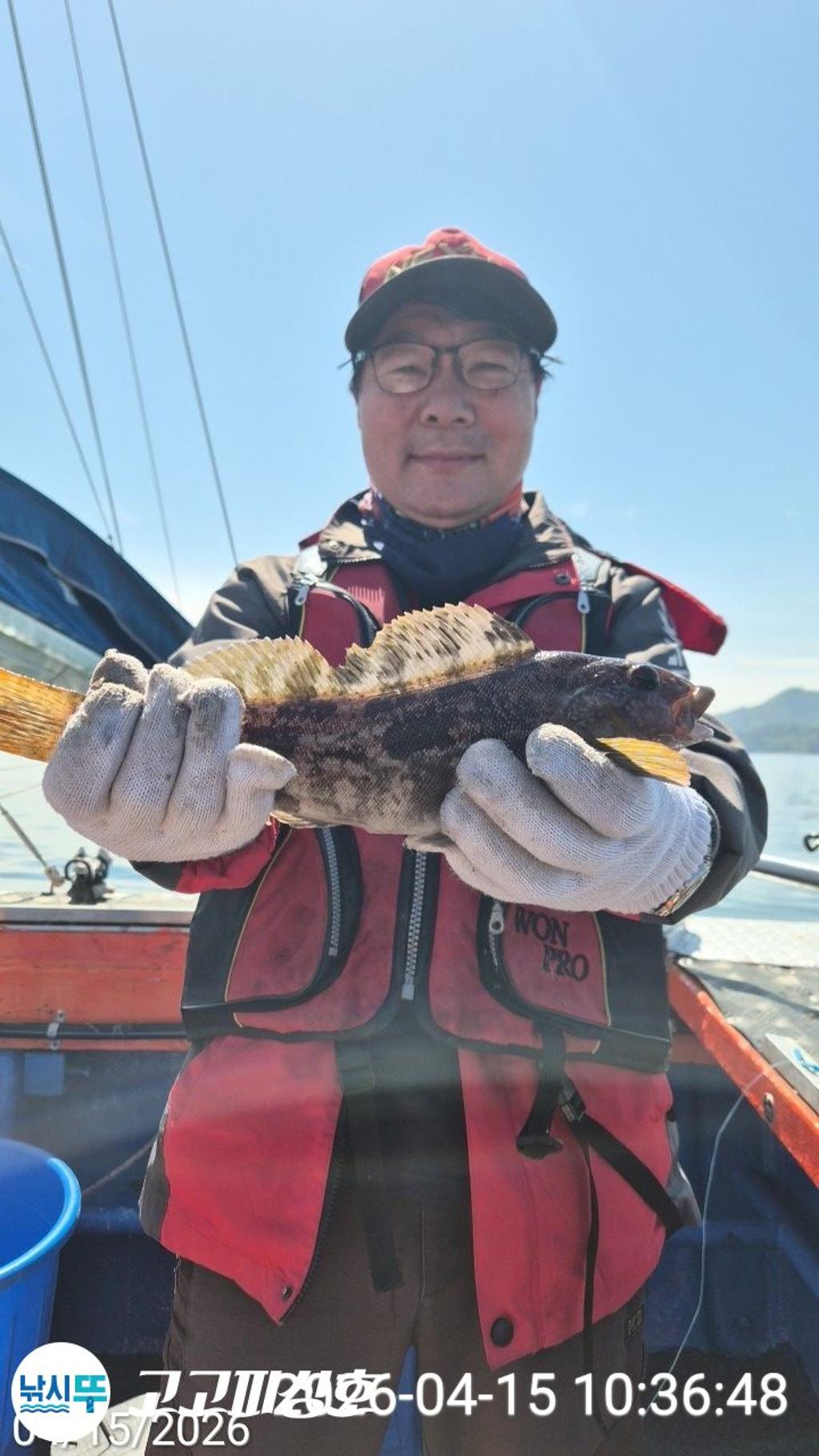 낚시뚜,,속천항(진해),고고피싱호,낚시뚜4