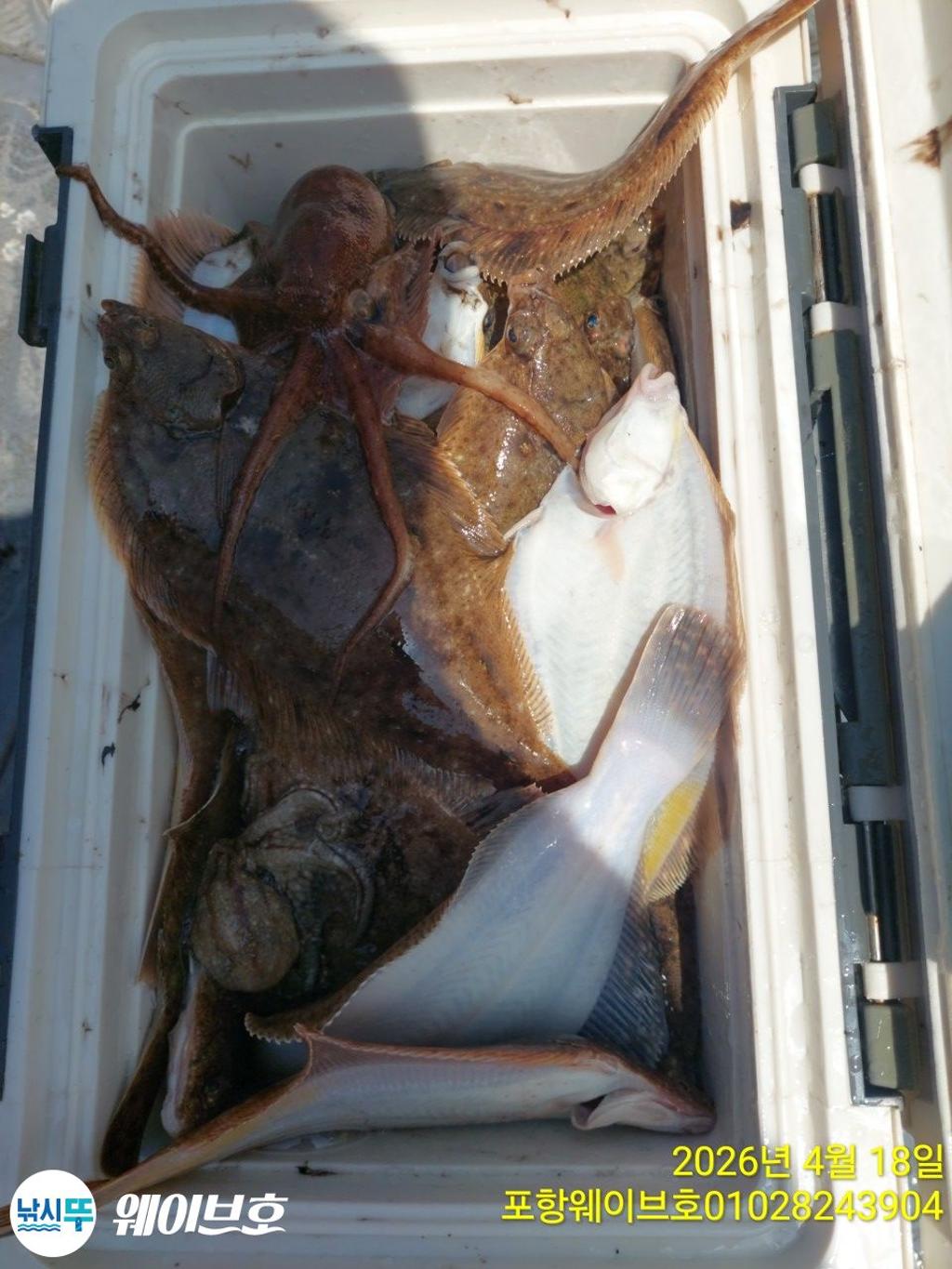 낚시뚜,도다리,가자미,구룡포항,뉴웨이브호,낚시뚜9