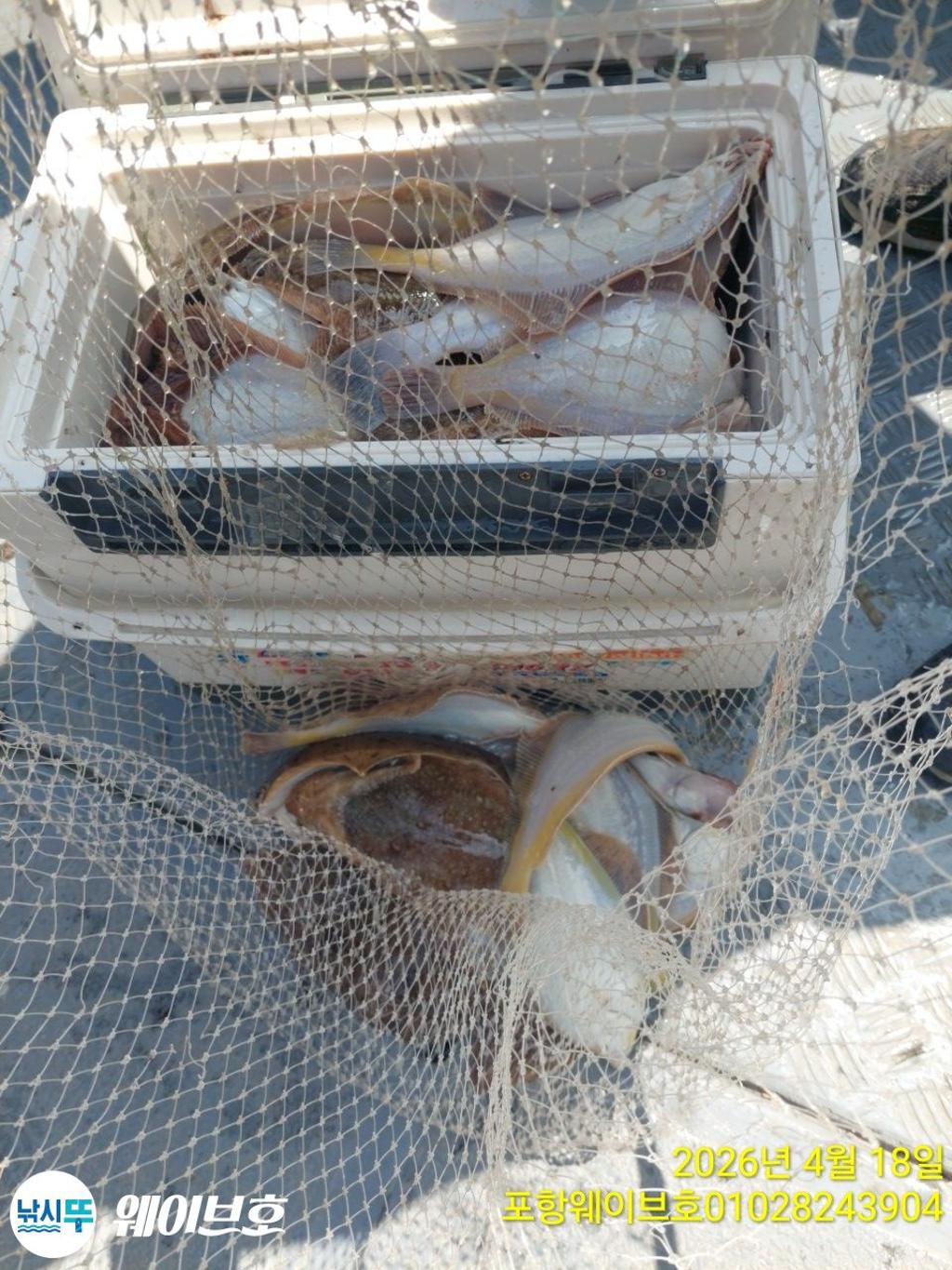 낚시뚜,도다리,가자미,구룡포항,뉴웨이브호,낚시뚜7