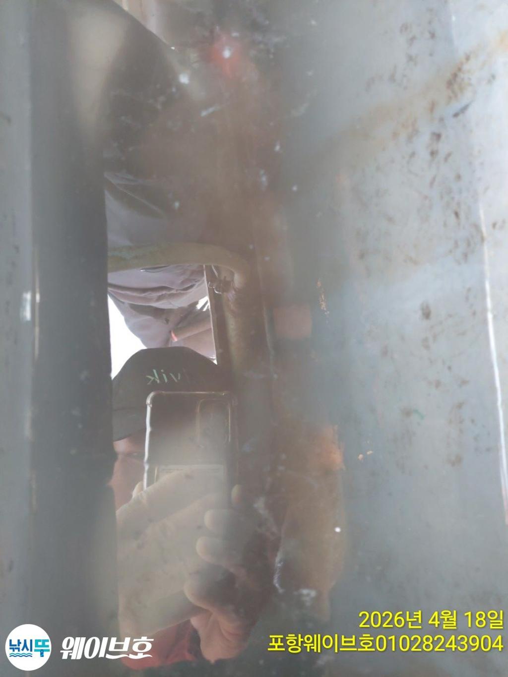 낚시뚜,도다리,가자미,구룡포항,뉴웨이브호,낚시뚜5