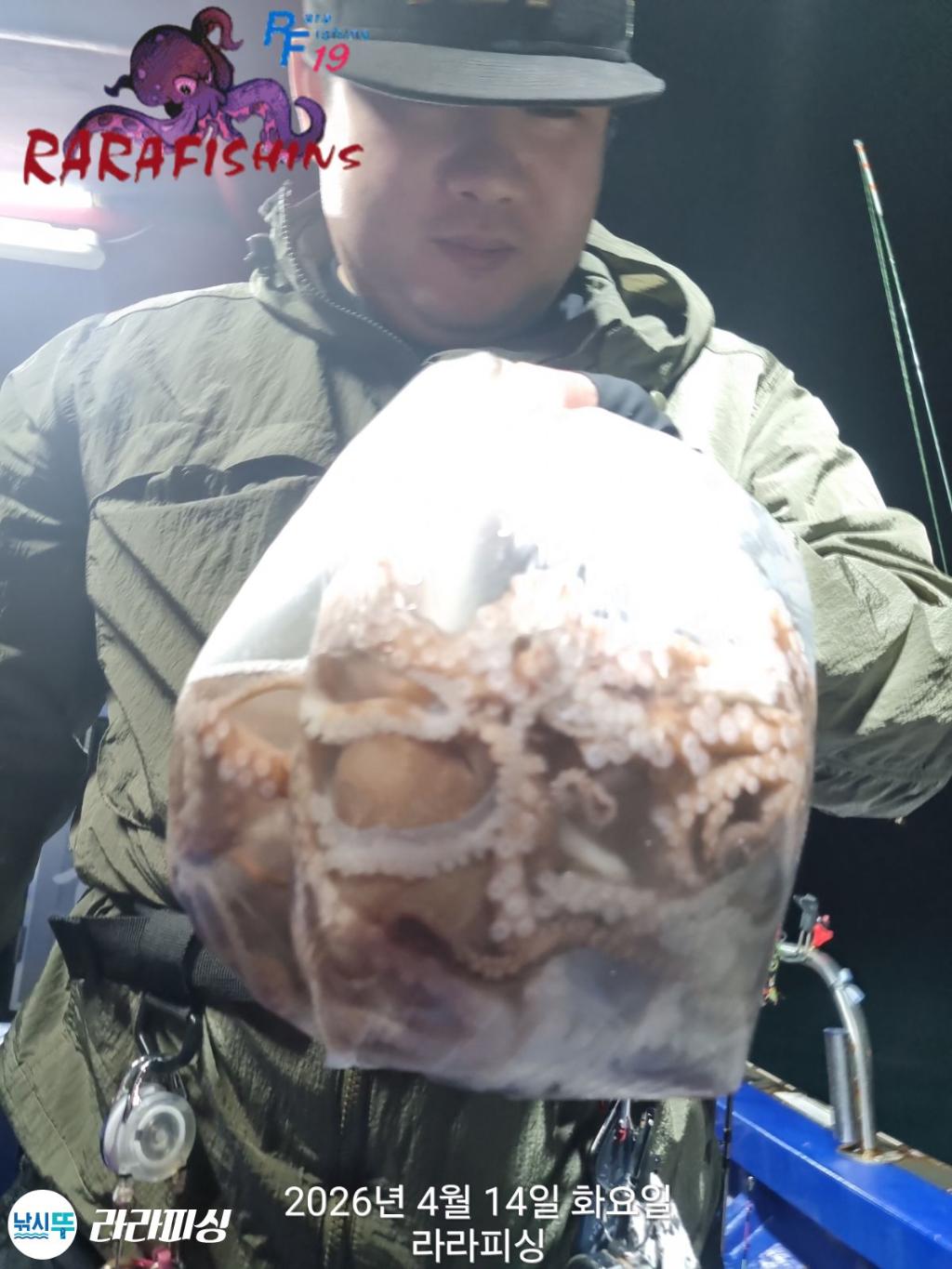 낚시뚜,낙지,속천항(진해),라라피싱,낚시뚜16