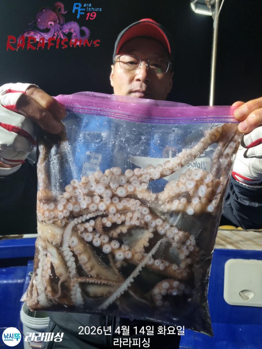 낚시뚜,낙지,속천항(진해),라라피싱,낚시뚜14