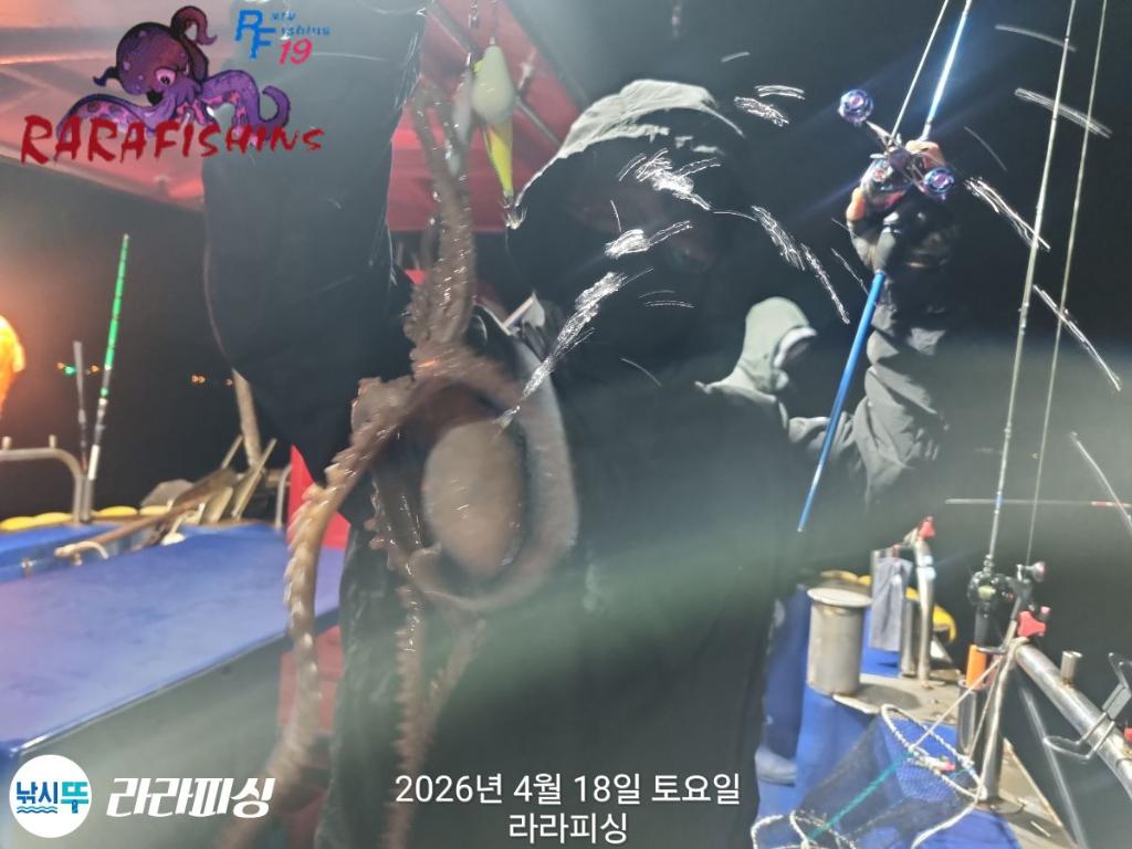 낚시뚜,낙지,속천항(진해),라라피싱,낚시뚜5