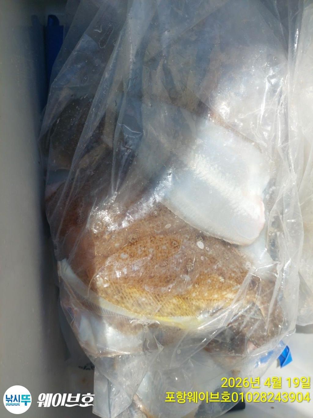 낚시뚜,도다리,가자미,구룡포항,뉴웨이브호,낚시뚜15