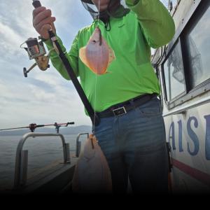 조황, 19일 오후