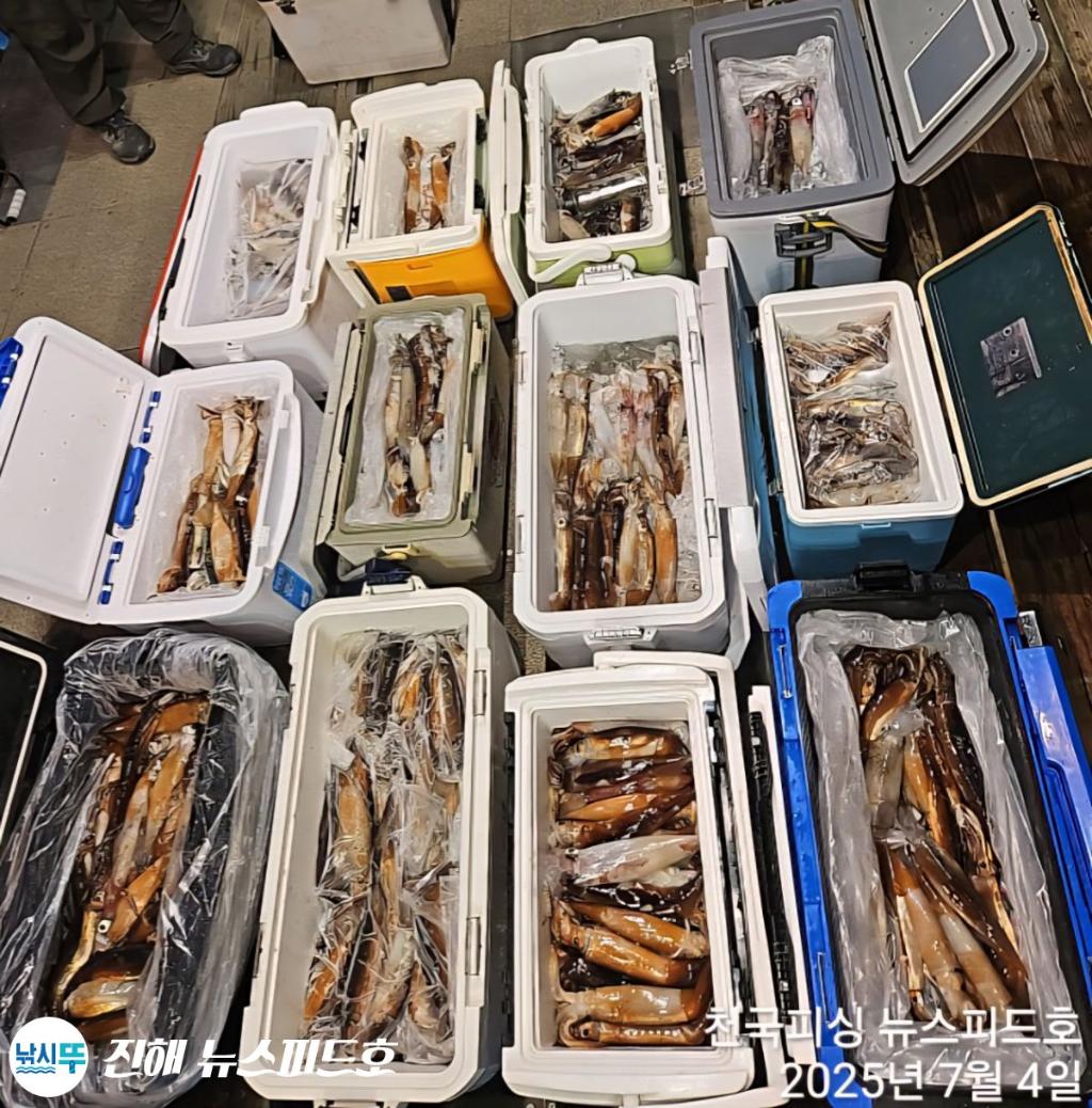 낚시뚜,한치,진해행암항,진해 뉴스피드호,낚시뚜33