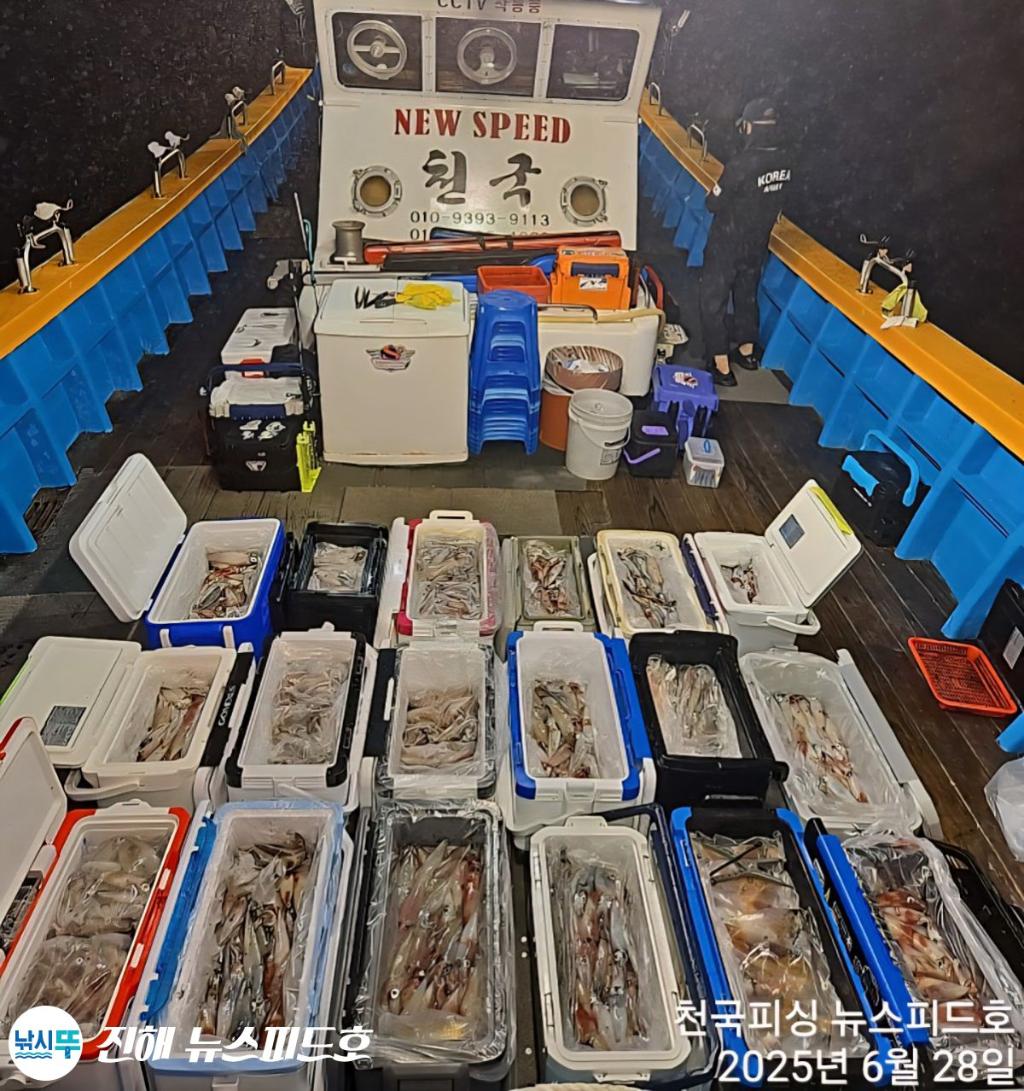 낚시뚜,한치,진해행암항,진해 뉴스피드호,낚시뚜16