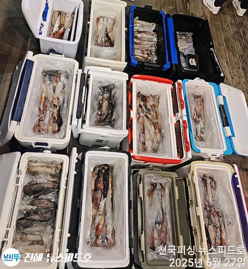낚시뚜,한치,진해행암항,진해 뉴스피드호,낚시뚜12