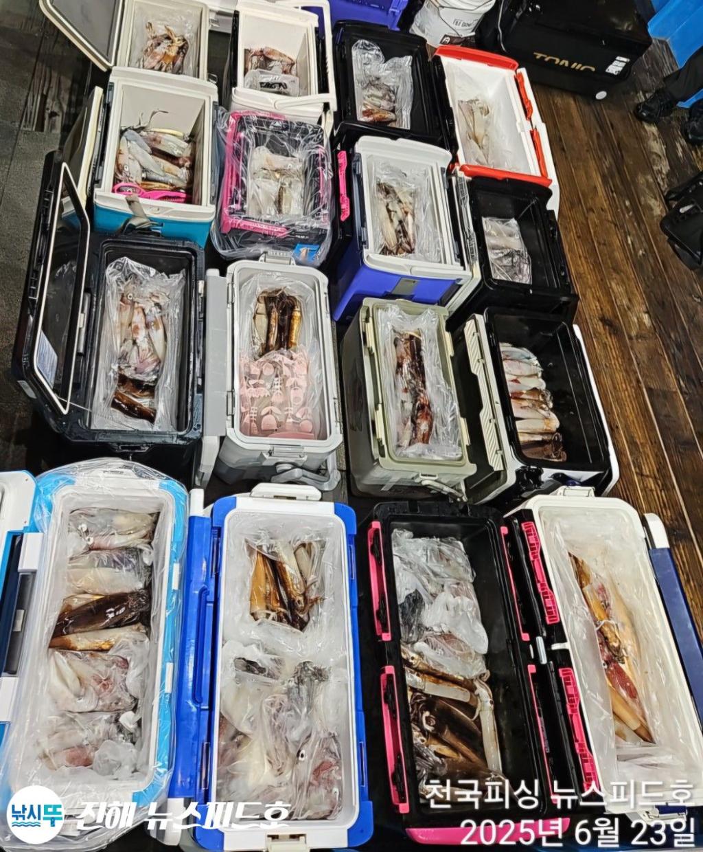 낚시뚜,한치,진해행암항,진해 뉴스피드호,낚시뚜11