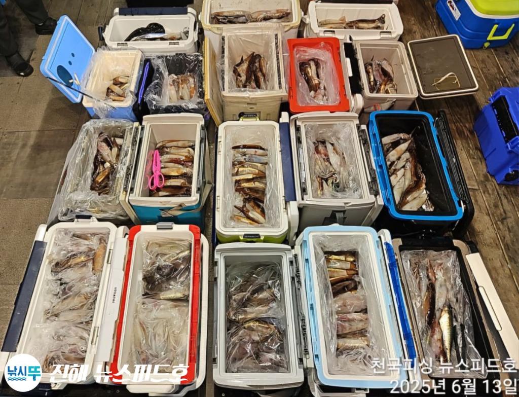 낚시뚜,한치,진해행암항,진해 뉴스피드호,낚시뚜10