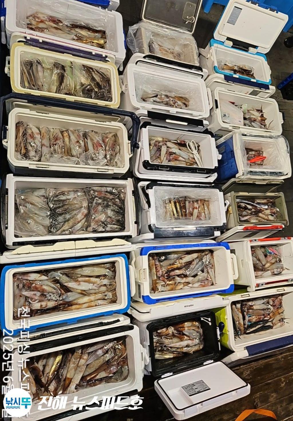 낚시뚜,한치,진해행암항,진해 뉴스피드호,낚시뚜8