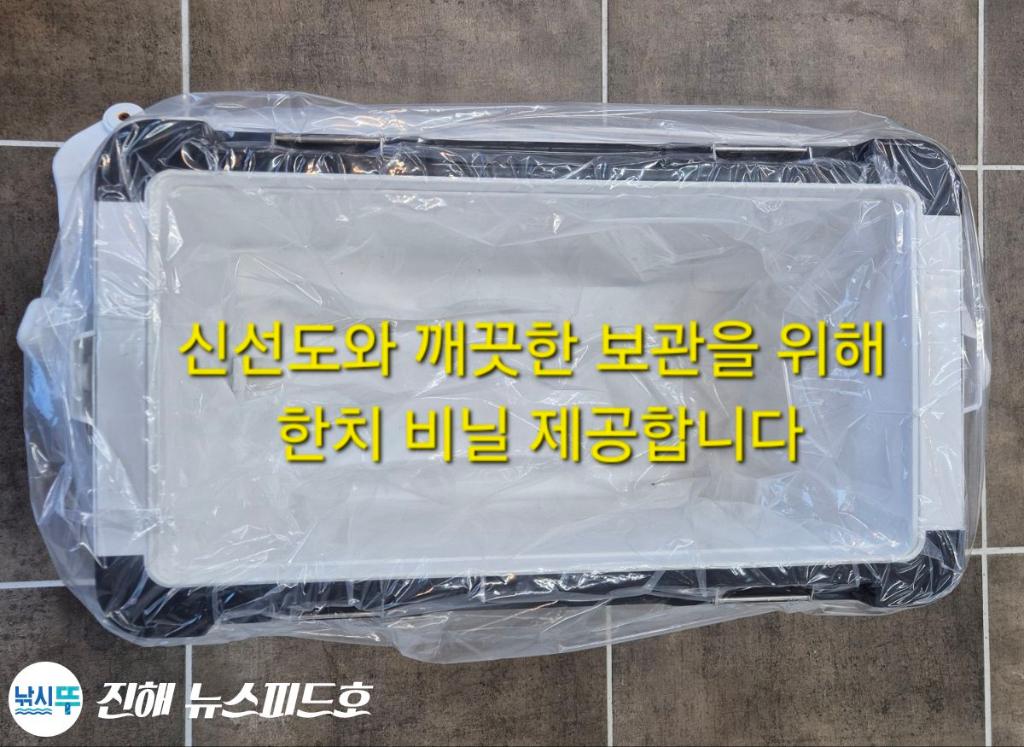 낚시뚜,한치,진해행암항,진해 뉴스피드호,낚시뚜3