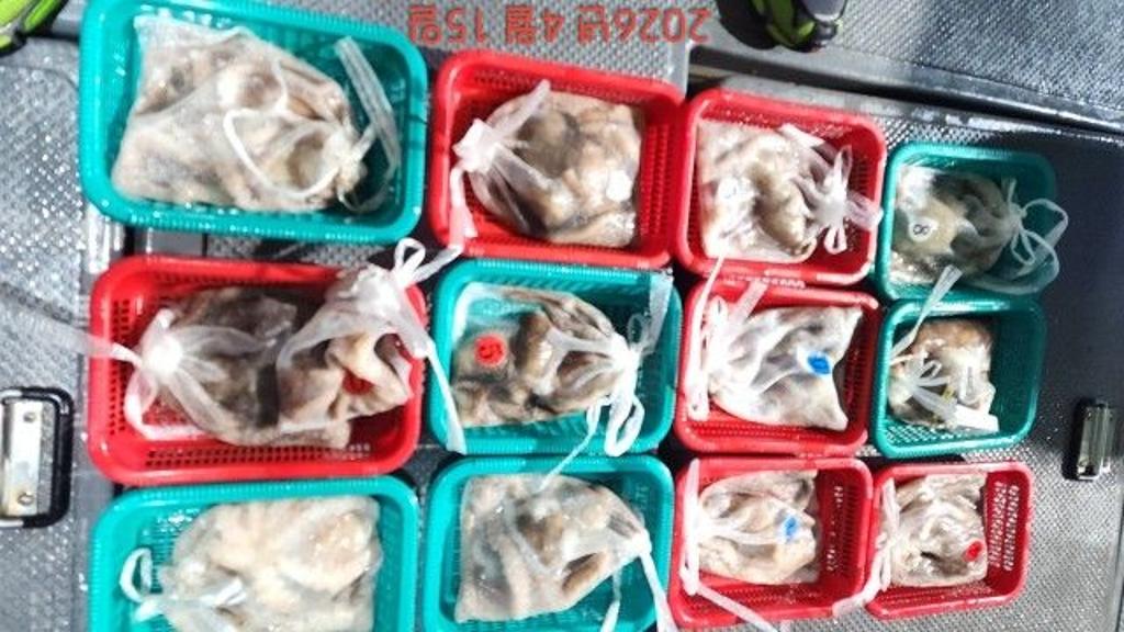 낚시뚜,낙지,속천항(진해),바루나피싱,낚시뚜5