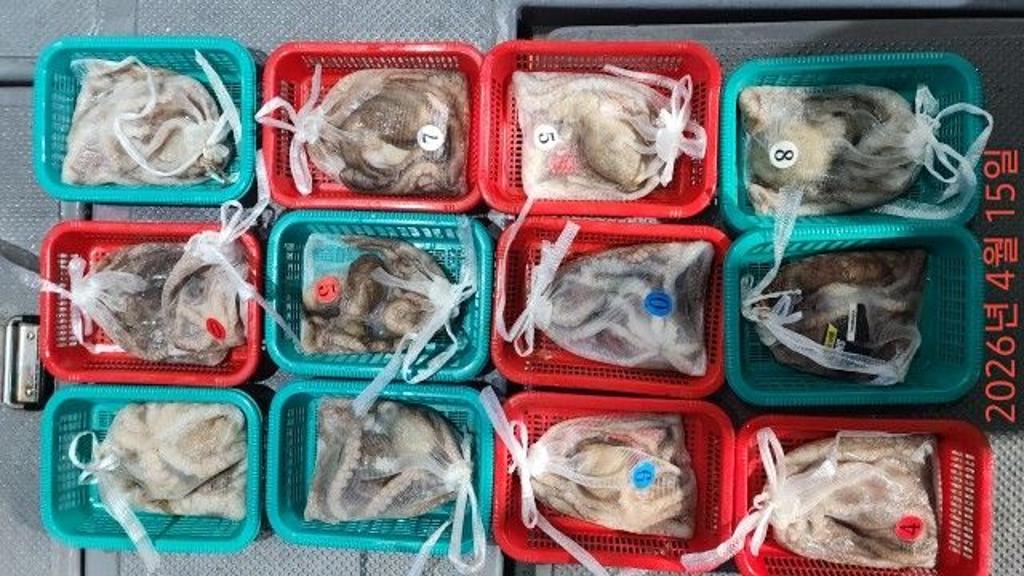 낚시뚜,낙지,속천항(진해),바루나피싱,낚시뚜4