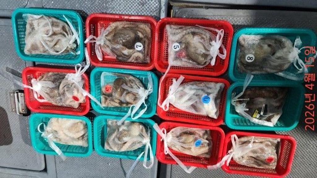 낚시뚜,낙지,속천항(진해),바루나피싱,낚시뚜3