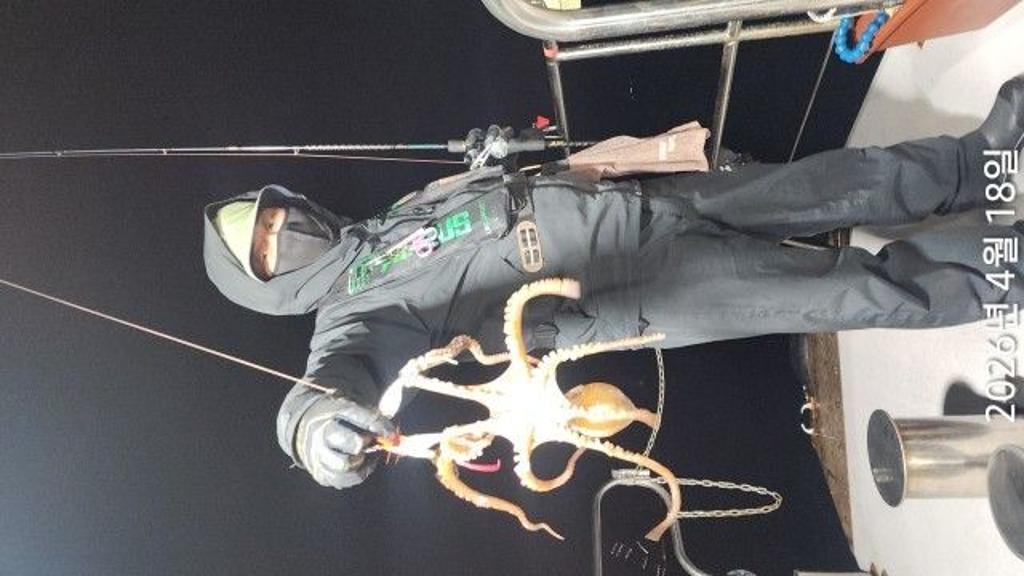 낚시뚜,낙지,속천항(진해),바루나피싱,낚시뚜1